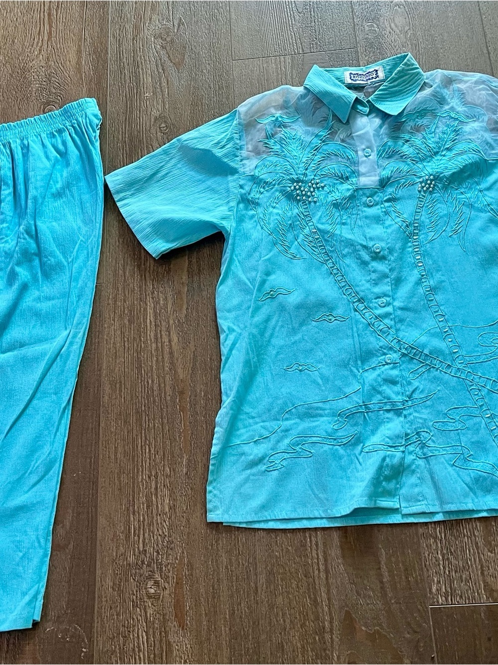Turquoise Embroidered Two-Piece Set - Picture 1 of 10